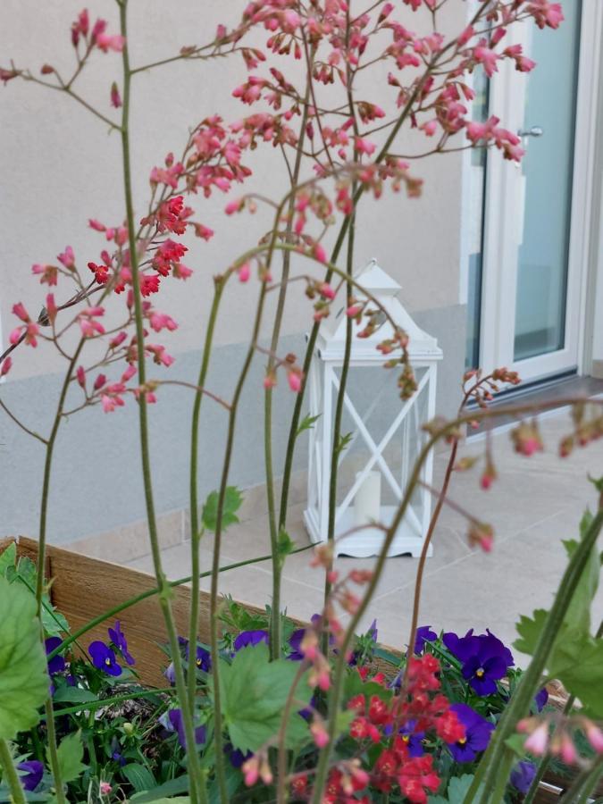 Casa Autunno Hotel มอนซามบาโน ภายนอก รูปภาพ